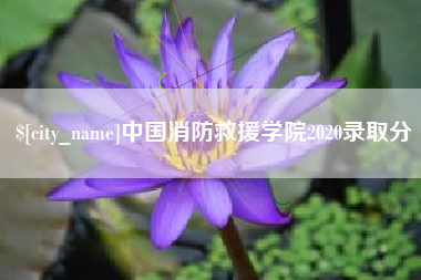 随县中国消防救援学院2020录取分