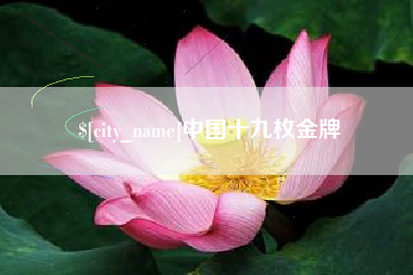 随县中国十九枚金牌