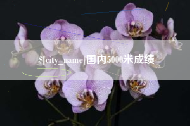 随县国内5000米成绩