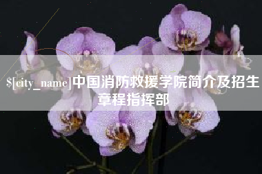 随县中国消防救援学院简介及招生章程指挥部