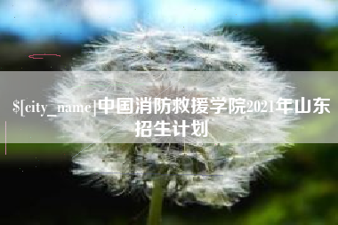 随县中国消防救援学院2021年山东招生计划