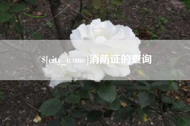 随县消防证的查询