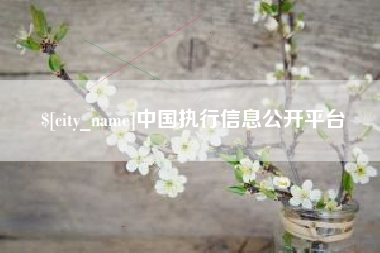 随县中国执行信息公开平台