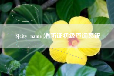 随县消防证初级查询系统