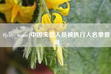 随县中国失信人员被执行人名单查询
