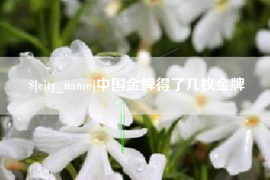 随县中国金牌得了几枚金牌
