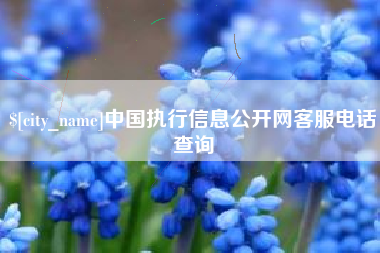 随县中国执行信息公开网客服电话查询
