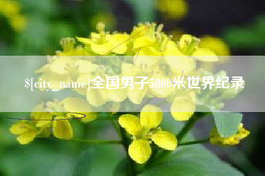 随县全国男子5000米世界纪录