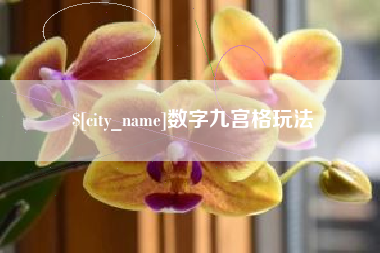 随县数字九宫格玩法