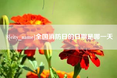 随县全国消防日的日期是哪一天
