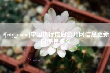 随县中国执行信息公开网信息更新时间是多久