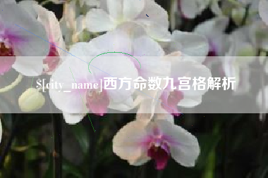 随县西方命数九宫格解析