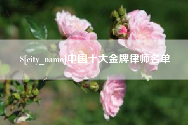 随县中国十大金牌律师名单
