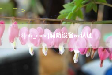 随县消防设备ccc认证