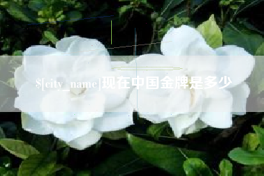 随县现在中国金牌是多少