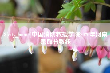 随县中国消防救援学院2020年河南录取分数线