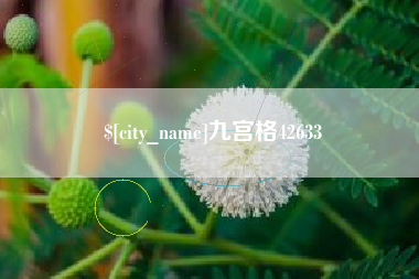 随县九宫格42633