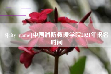 随县中国消防救援学院2021年报名时间
