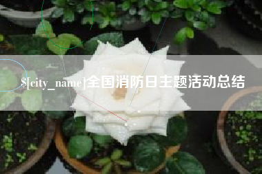 随县全国消防日主题活动总结