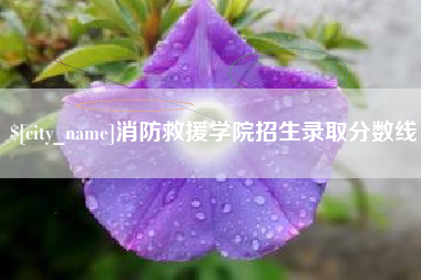 随县消防救援学院招生录取分数线