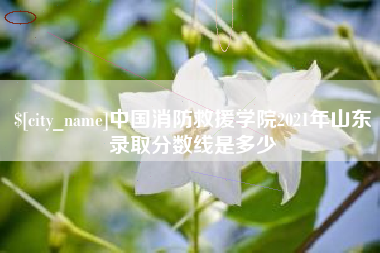 随县中国消防救援学院2021年山东录取分数线是多少