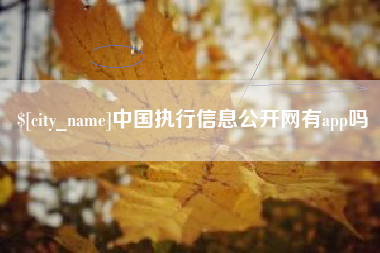 随县中国执行信息公开网有app吗