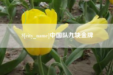 随县中国队九块金牌