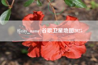随县谷歌卫星地图2025
