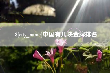 随县中国有几块金牌排名