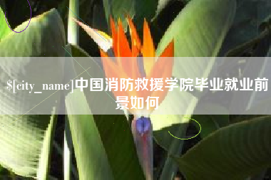 随县中国消防救援学院毕业就业前景如何