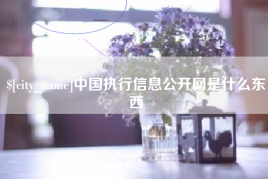 随县中国执行信息公开网是什么东西