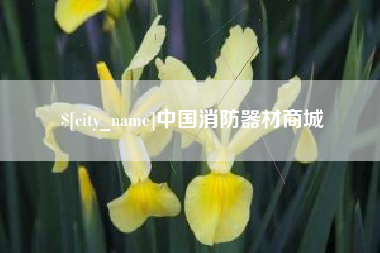 随县中国消防器材商城