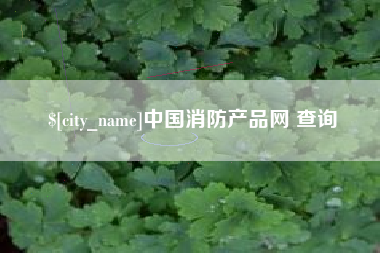随县中国消防产品网 查询
