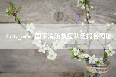 随县国家消防救援队伍报名网址
