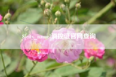 随县消控证官网查询