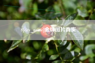 随县金牌图片真实