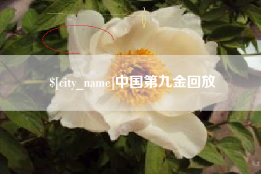 随县中国第九金回放
