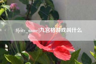 随县九宫格游戏叫什么