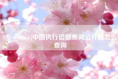 随县中国执行信息查询公开网怎么查询