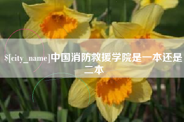 随县中国消防救援学院是一本还是二本
