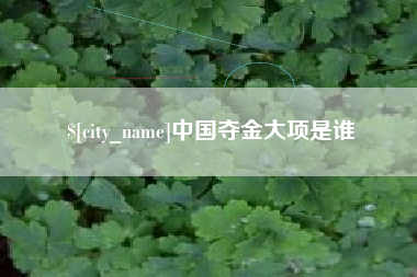 随县中国夺金大项是谁