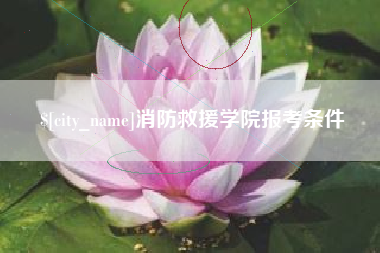 随县消防救援学院报考条件