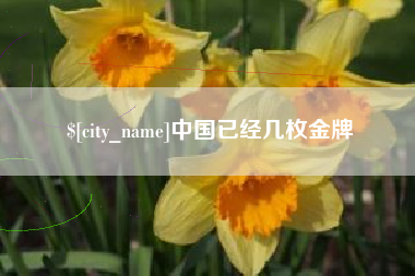 随县中国已经几枚金牌