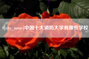 随县中国十大消防大学有哪些学校