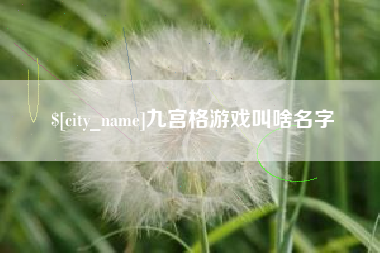 随县九宫格游戏叫啥名字