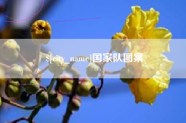 随县国家队图案