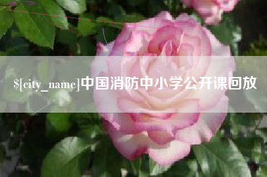 随县中国消防中小学公开课回放