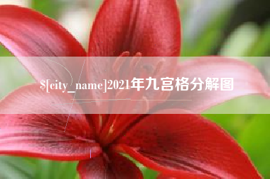 随县2021年九宫格分解图