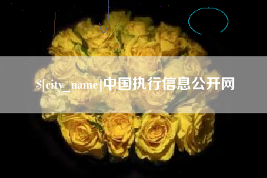 随县中国执行信息公开网