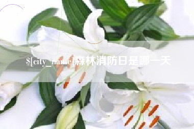 随县森林消防日是哪一天
